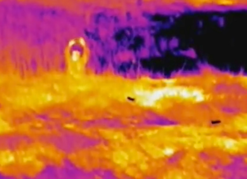 Thermal UAV Search and Rescue Mission