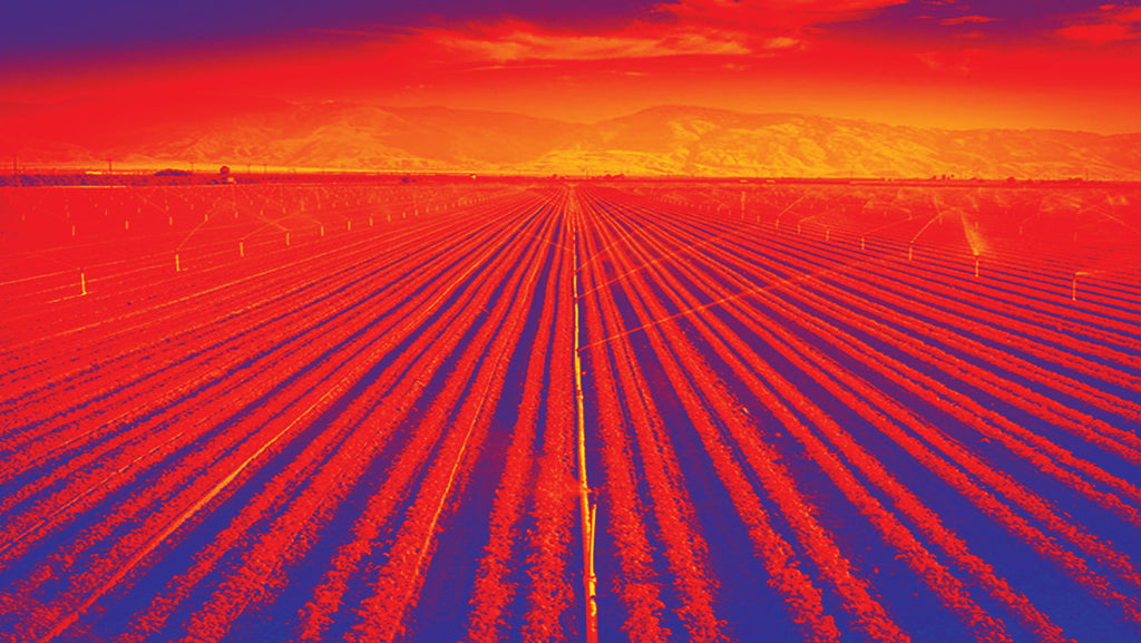AG Drones