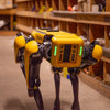 Boston Dynamics SPOT- Enterprise